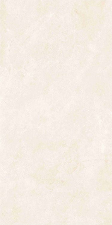 OL Vivid White Polished 24 x 48