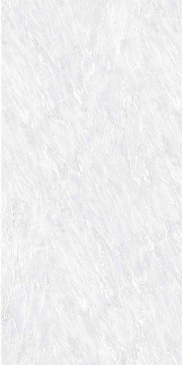 OL Vivid White Matte 24 x 48