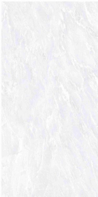 OL Vivid White Matte 12 x 24