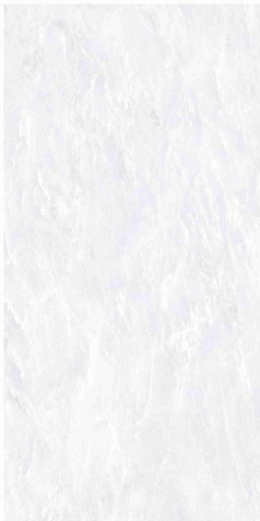 OL Vivid White Matte 12 x 24