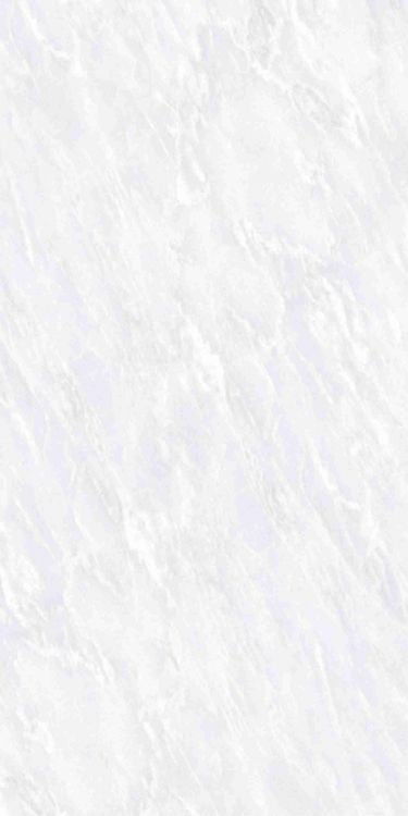 OL Vivid White Tile Polished 12 x 24
