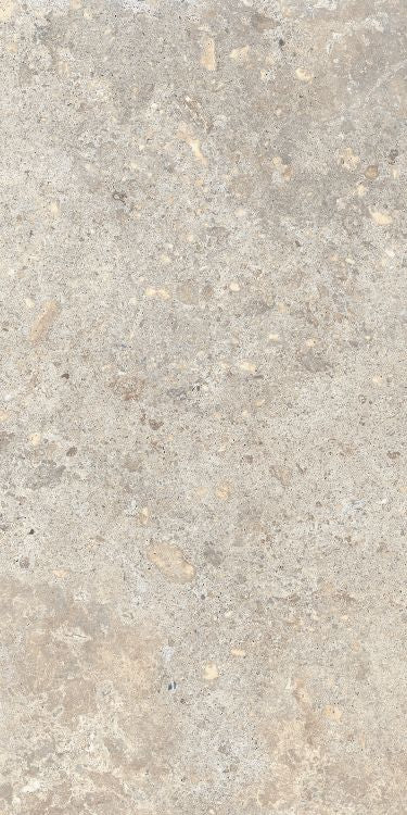 Beat Almond 12 x 24