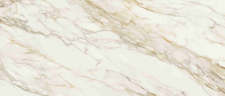 Etoile Renoir Glossy 6MM 47 x 110
