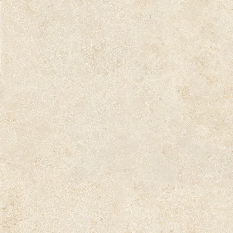 Authentic Luxe Stone Montpellier Tile Matte 48 x 48