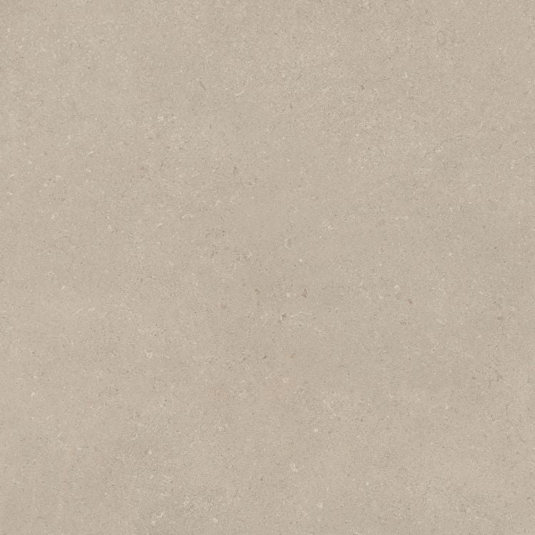Omnia Calacatta Matte 48 x 48
