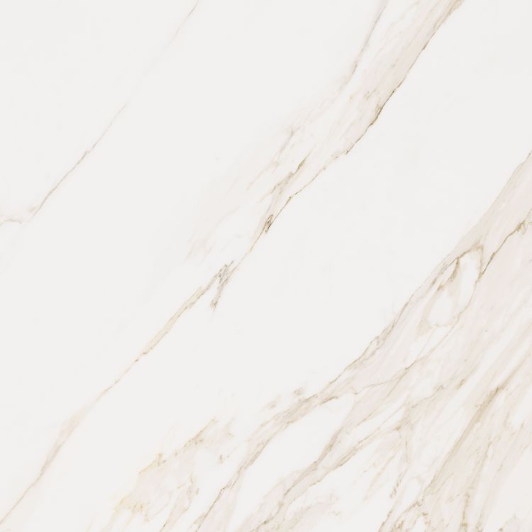 Omnia Calacatta Tile Matte 48 x 48