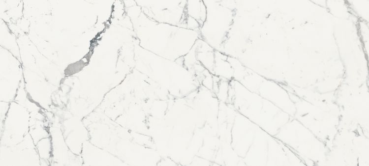Origines De Rex Blanc Glossy 6MM 47 x 110