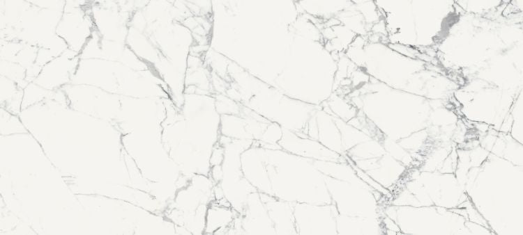 Origines De Rex Blanc Glossy 6MM 47 x 110