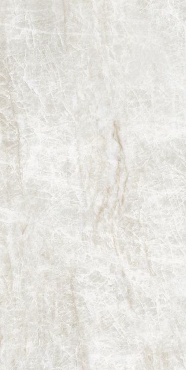 Kraken Tile Matte 24 x 48