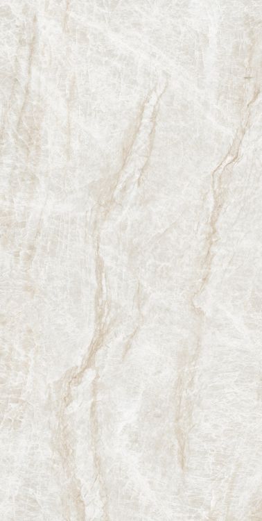 Kraken Polished 24 x 48