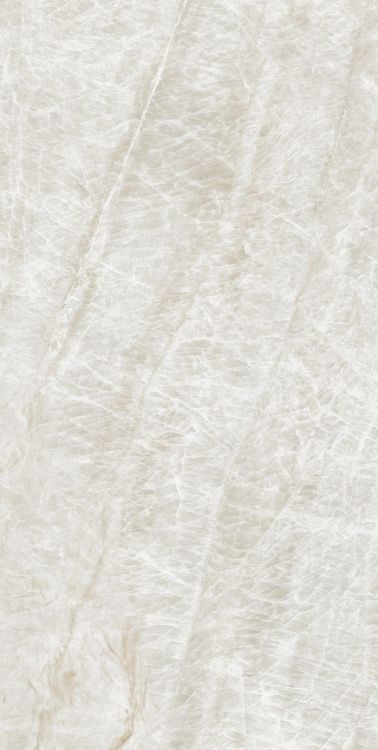 Kraken Tile Polished 24 x 48