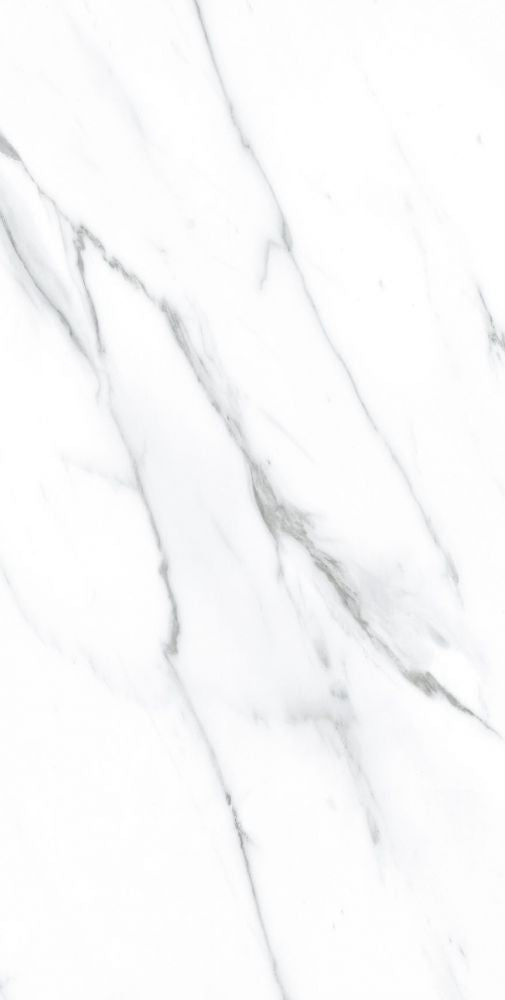 AGL Carrara Matte 12 x 24 - Sold Per Box - 5 pcs/box (9.69 sf/box)