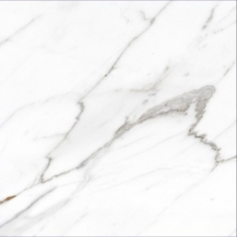 AGL Carrara Matte 24 x 24 - Sold Per Box - 4 pcs/box (15.5 sf/box)