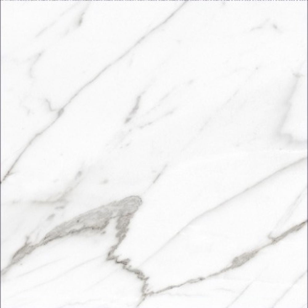 AGL Carrara Matte 24 x 24 - Sold Per Box - 4 pcs/box (15.5 sf/box)