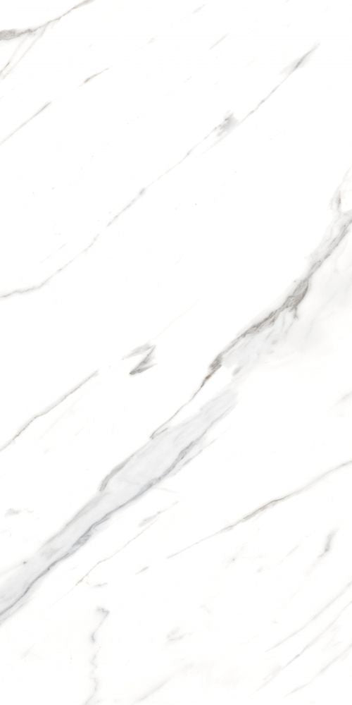 AGL Carrara Matte 24 x 48 - Sold per box - 2 pcs/box (15.5 sf/box)