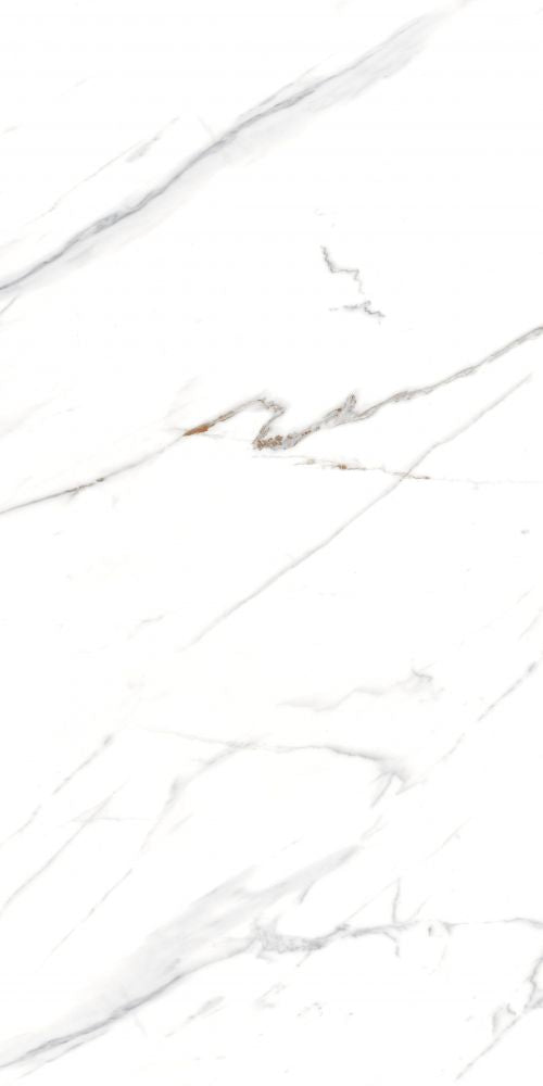 AGL Carrara Matte 24 x 48 - Sold per box - 2 pcs/box (15.5 sf/box)