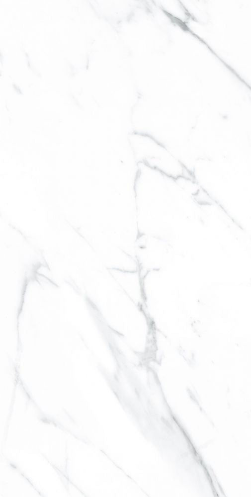 AGL Carrara Polished 12 x 24 - Sold Per Box - 5 pcs/box (9.69 sf/box)