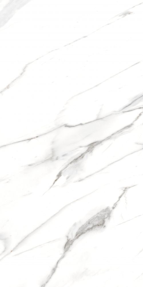 AGL Carrara Polished 24 x 48 - Sold Per Box - 2 pcs/box (15.5 sf/box)