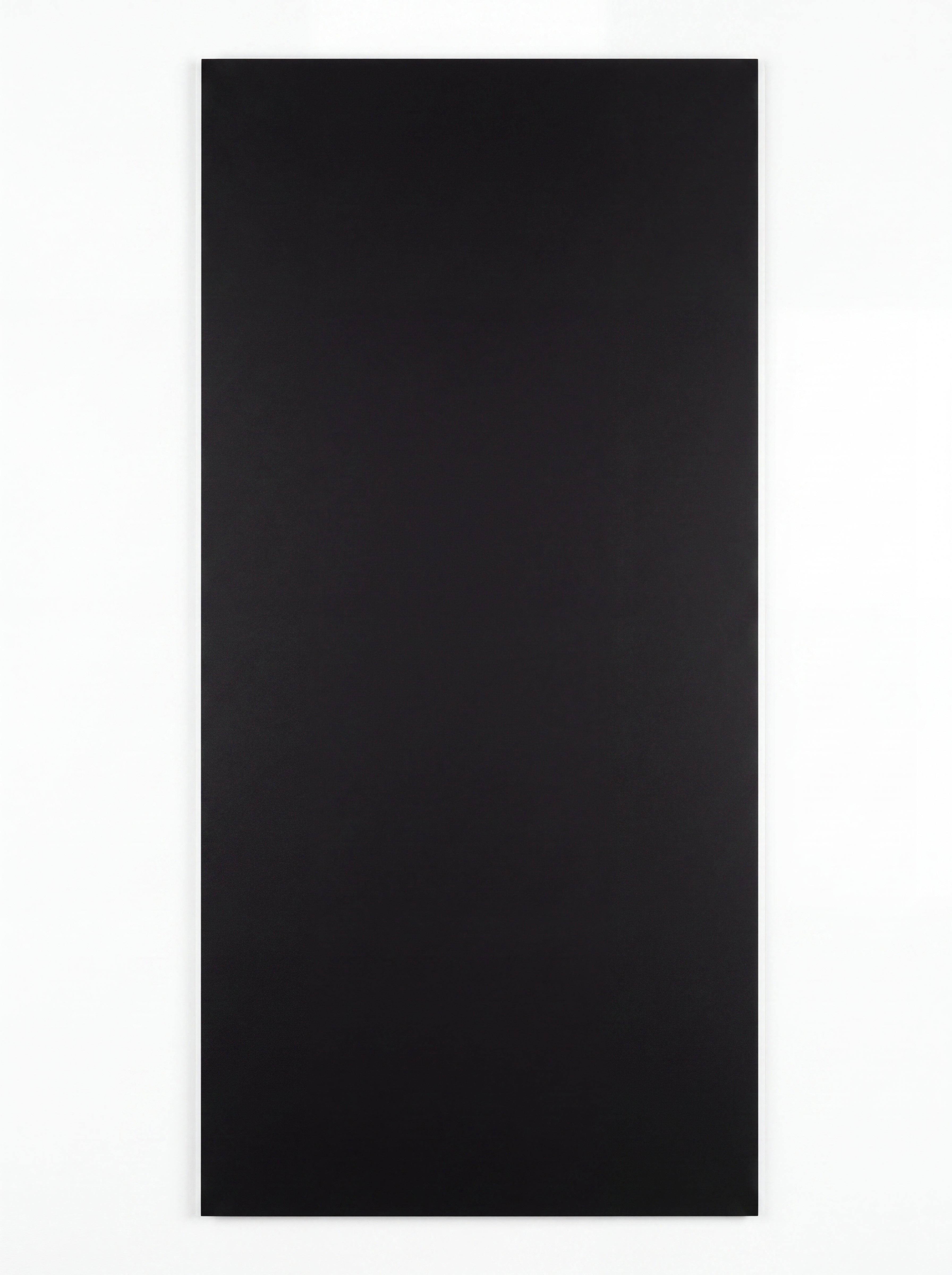 Black Basalt Honed 12 X 24