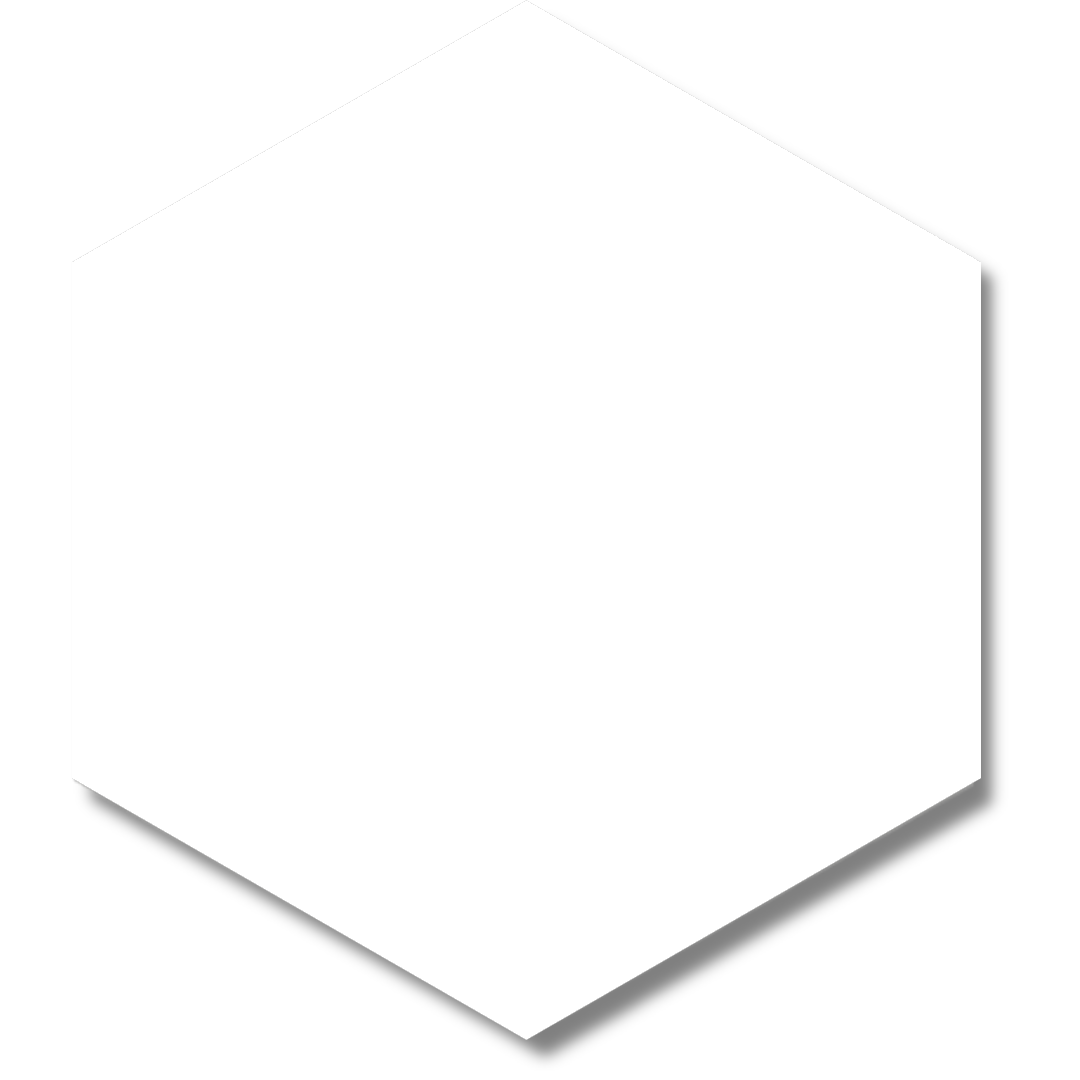 BLOCK HEXAGON BLANCO MATTE 5X6