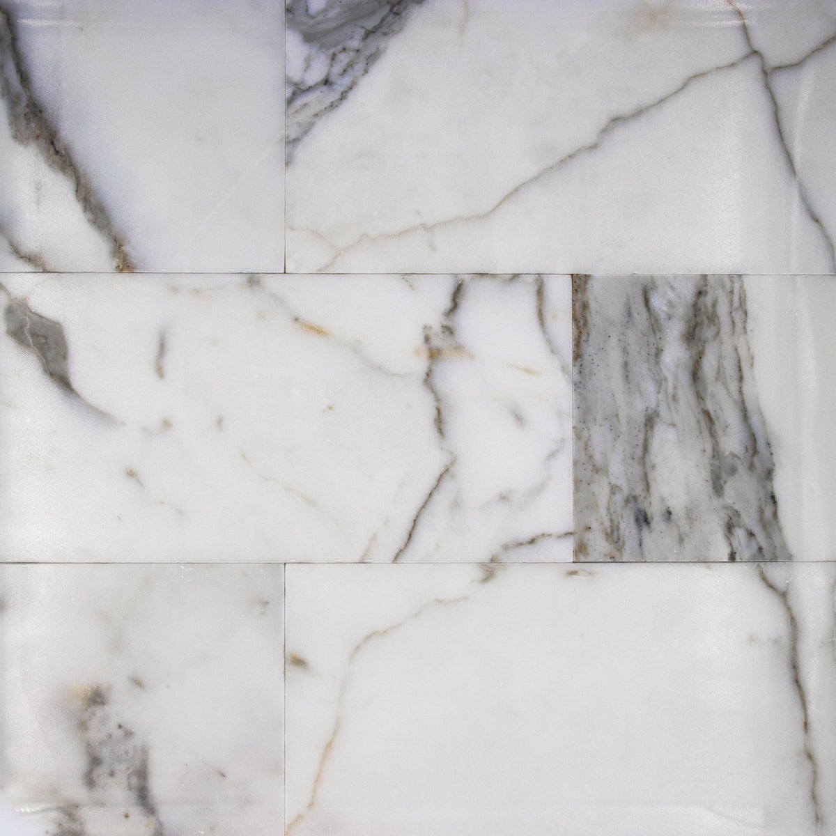 Calacatta Gold Marble Tile, Calacatta Gold Marble Tile 6 x 12