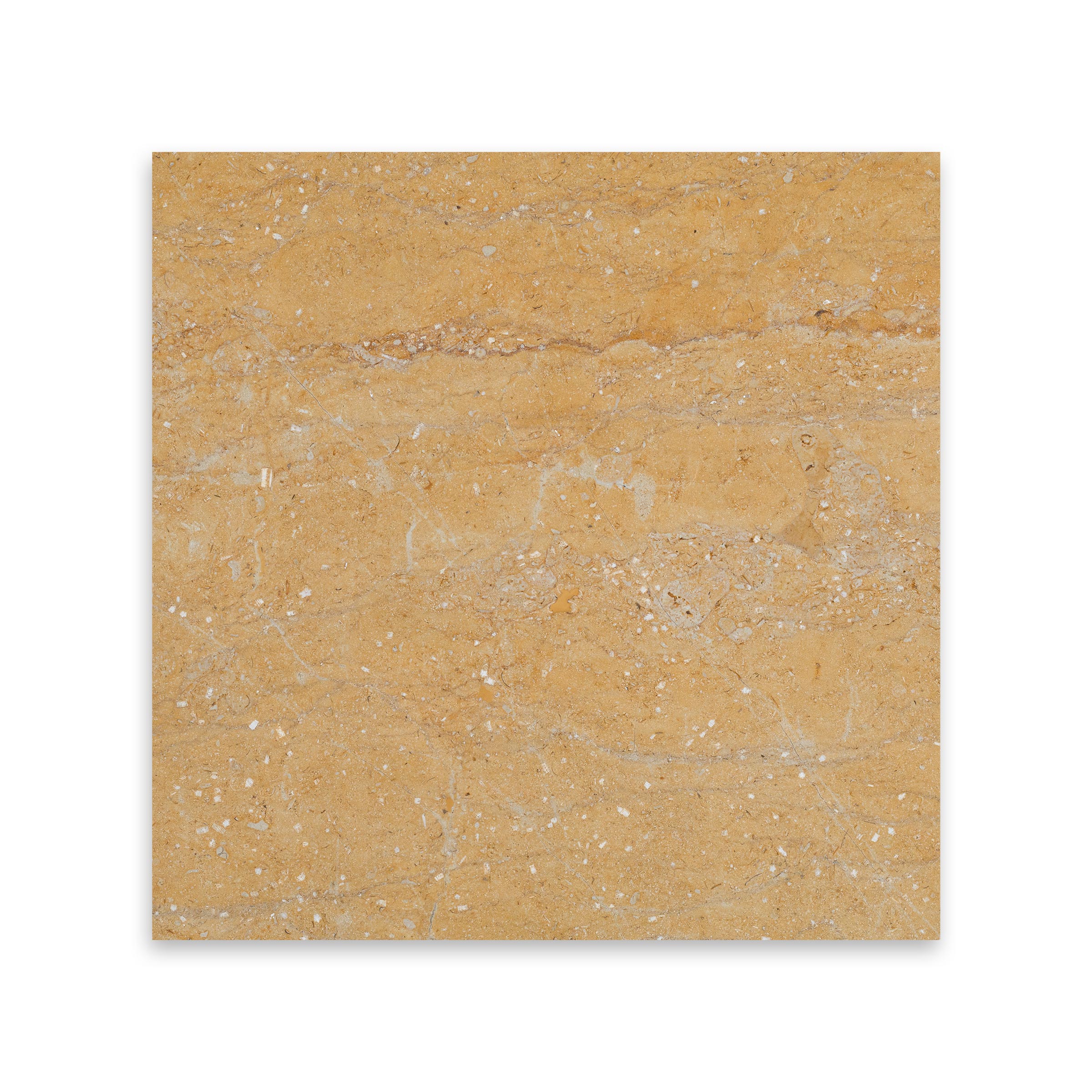 Giallo Reale Polished Marble Tile 12x12