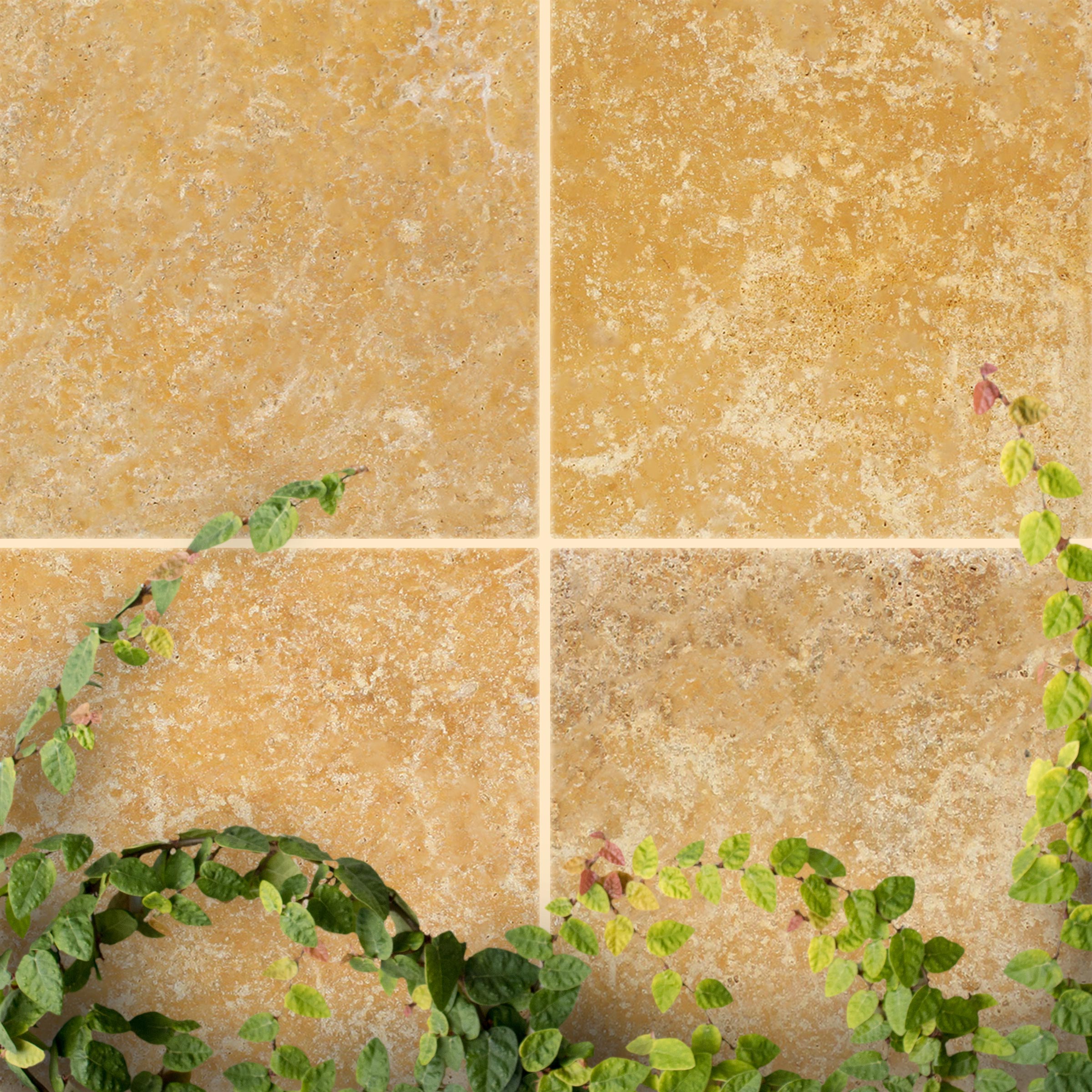 Noce Premium  12x24
