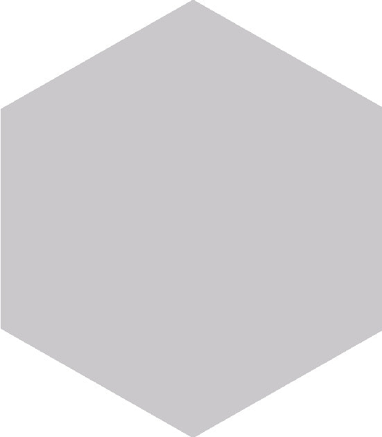 BLOCK HEXAGON GRIS MATTE 5X6