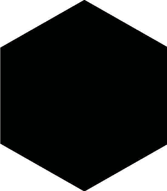 BLOCK HEXAGON NEGRO MATTE 5X6