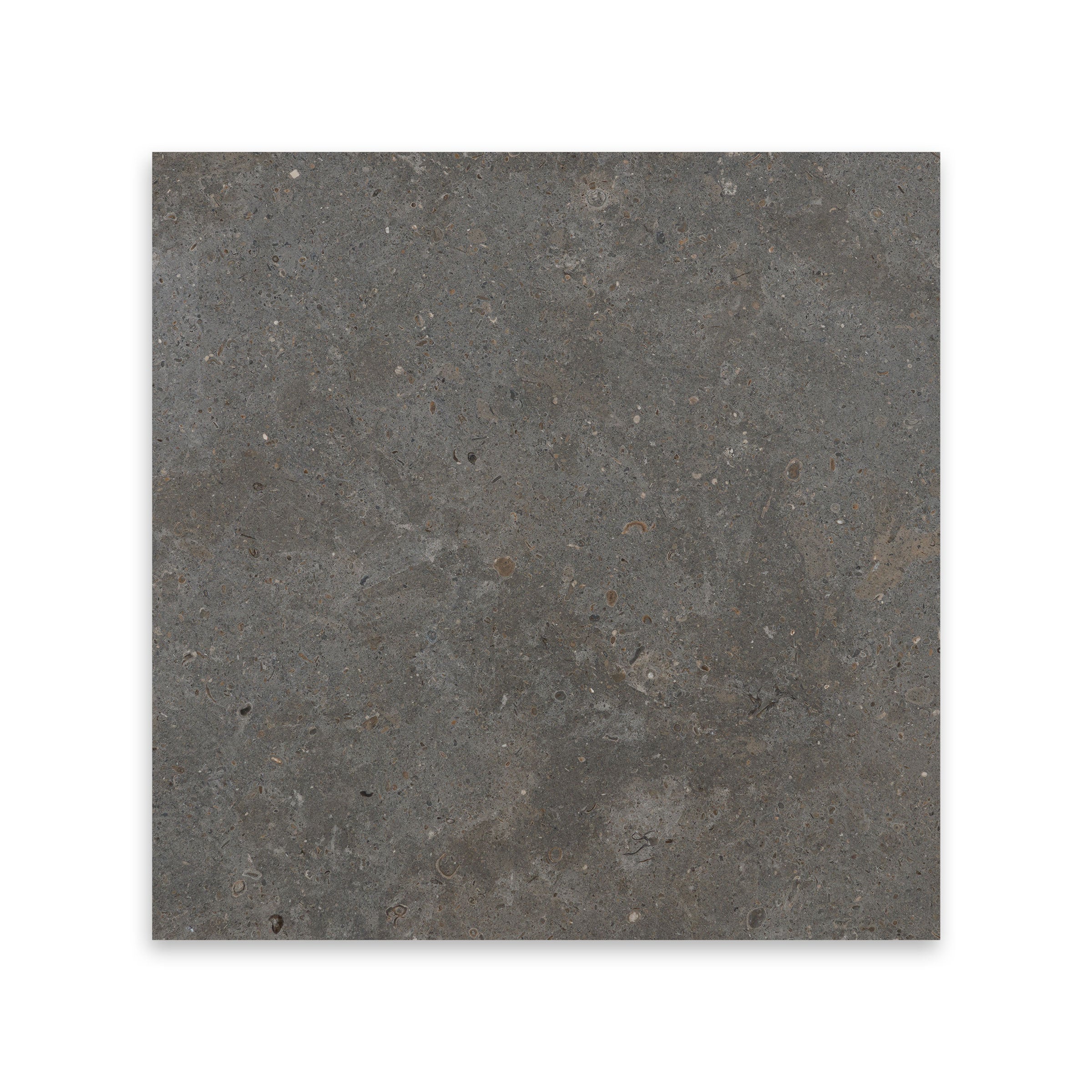 Ivory Premium  24x24