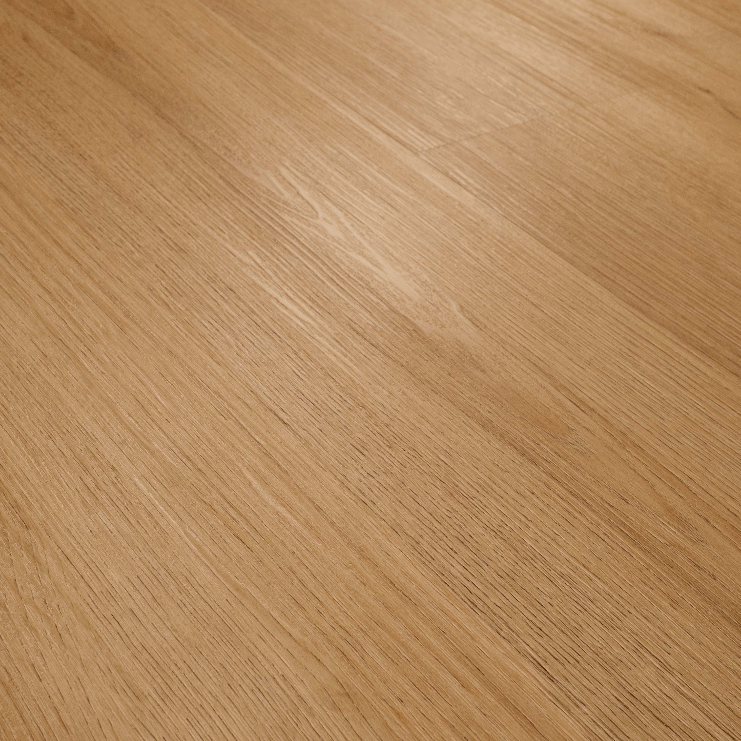 CYRUS 2.0 AMBER FORRESTER 7.13X48.03