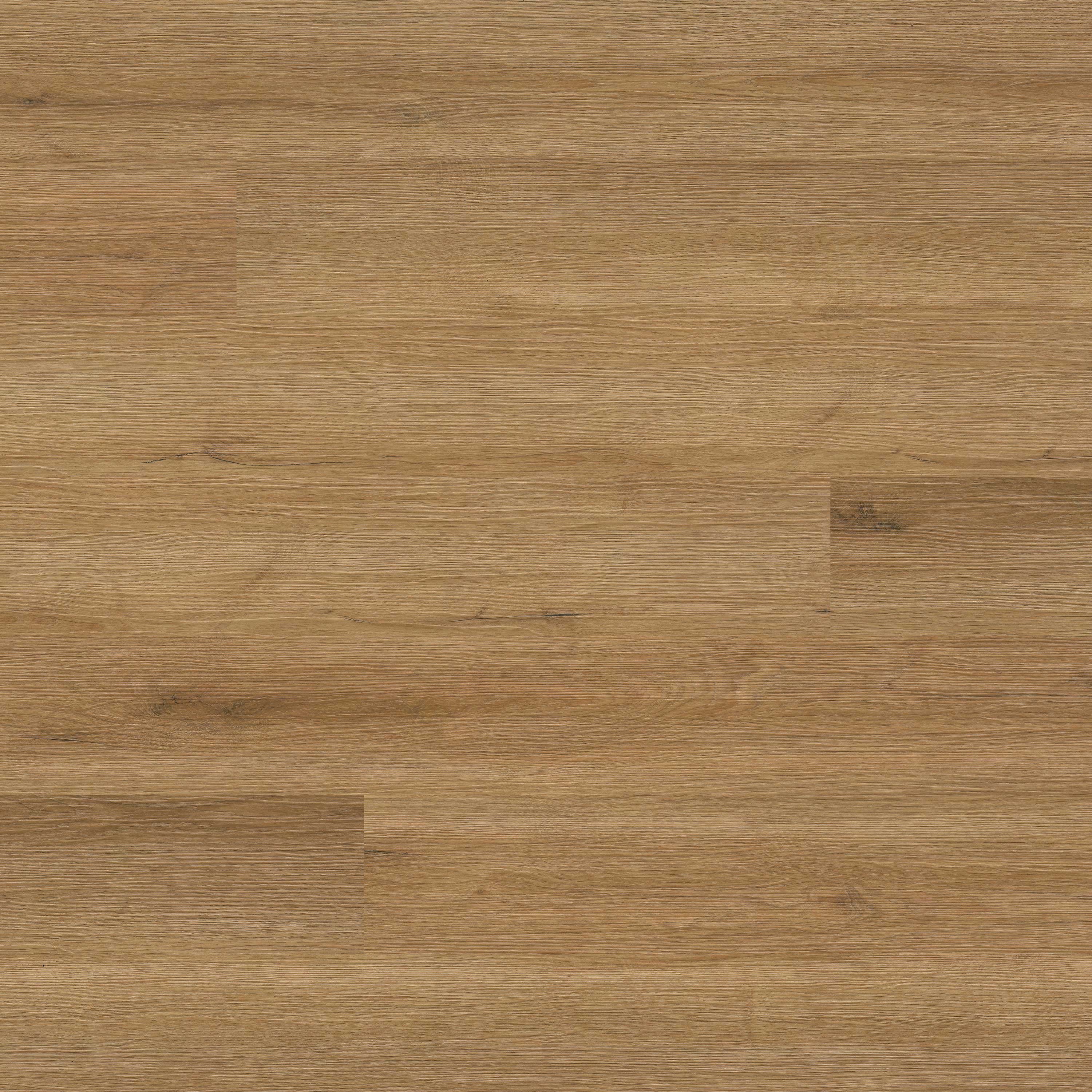 CYRUS 2.0 AMBER FORRESTER 7.13X48.03