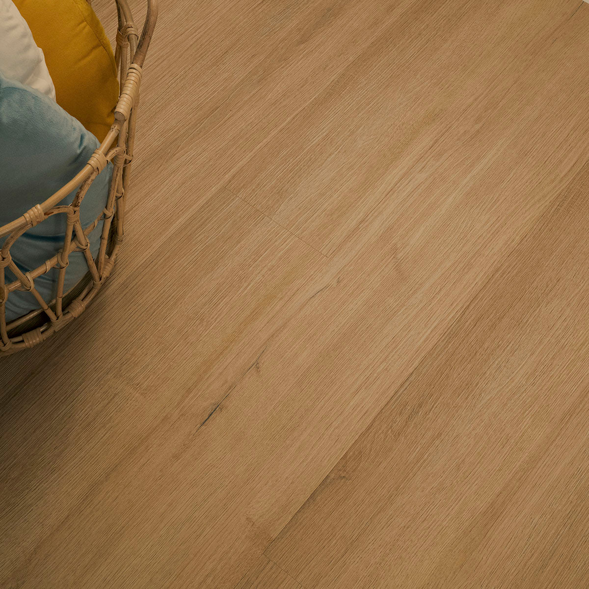 CYRUS 2.0 AMBER FORRESTER 7.13X48.03