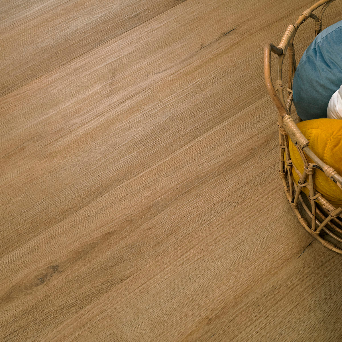 CYRUS 2.0 AMBER FORRESTER 7.13X48.03