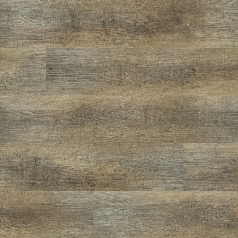 ASHTON MARACAY BROWN 7.13X48.03