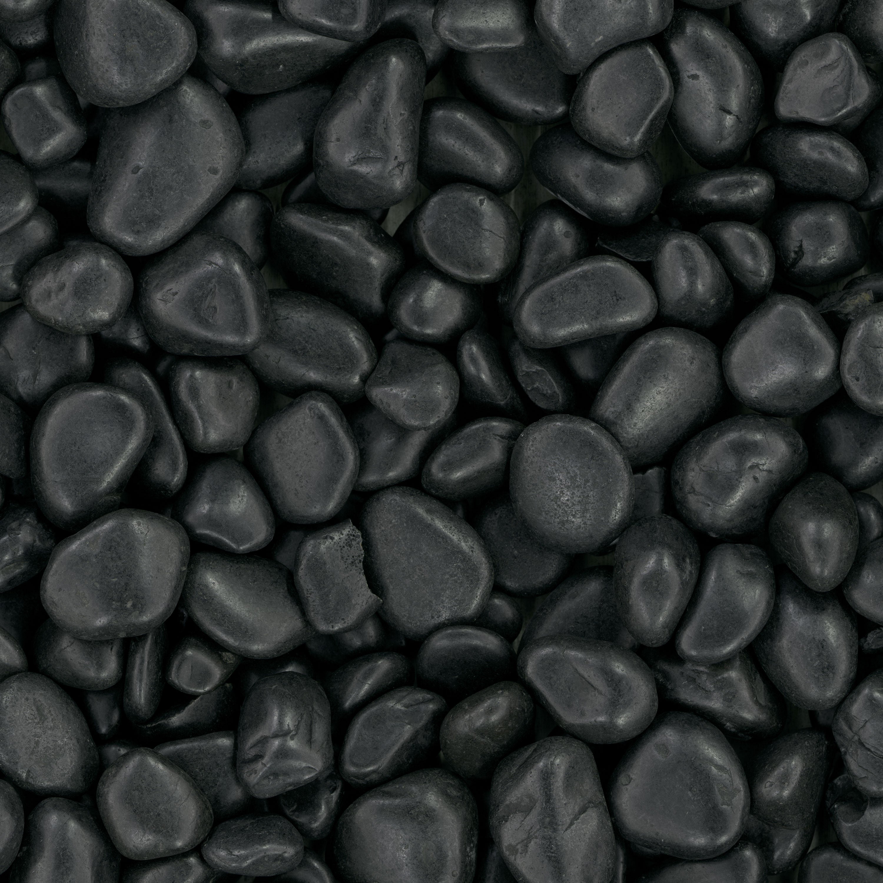 BLACK POLISHED PEBBLES POLISHED Hardscape - Large 1 - 2 INCH
