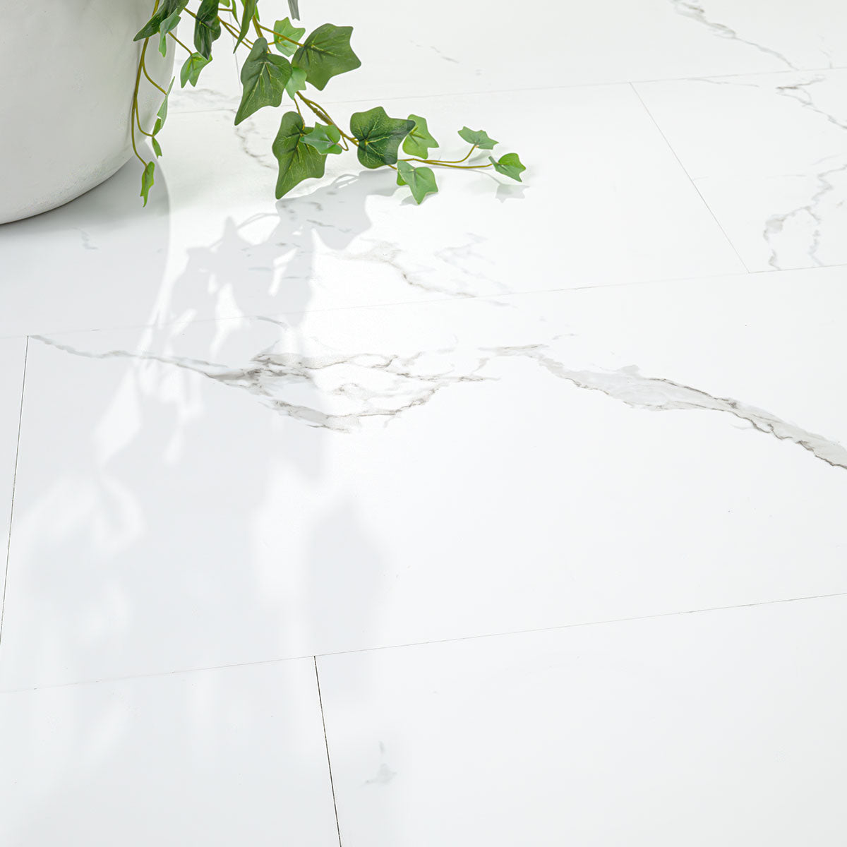 GLENRIDGE CALACATTA SERRA 12X24