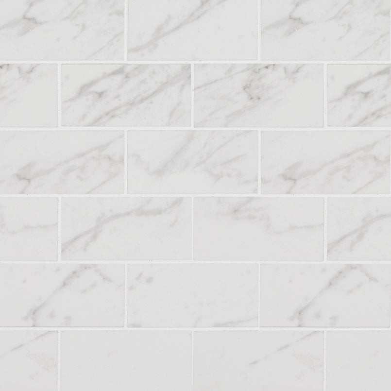 Pietra Carrara Mosaic Polished 2 x 4
