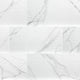 Dymo Statuary Stripe 12x24