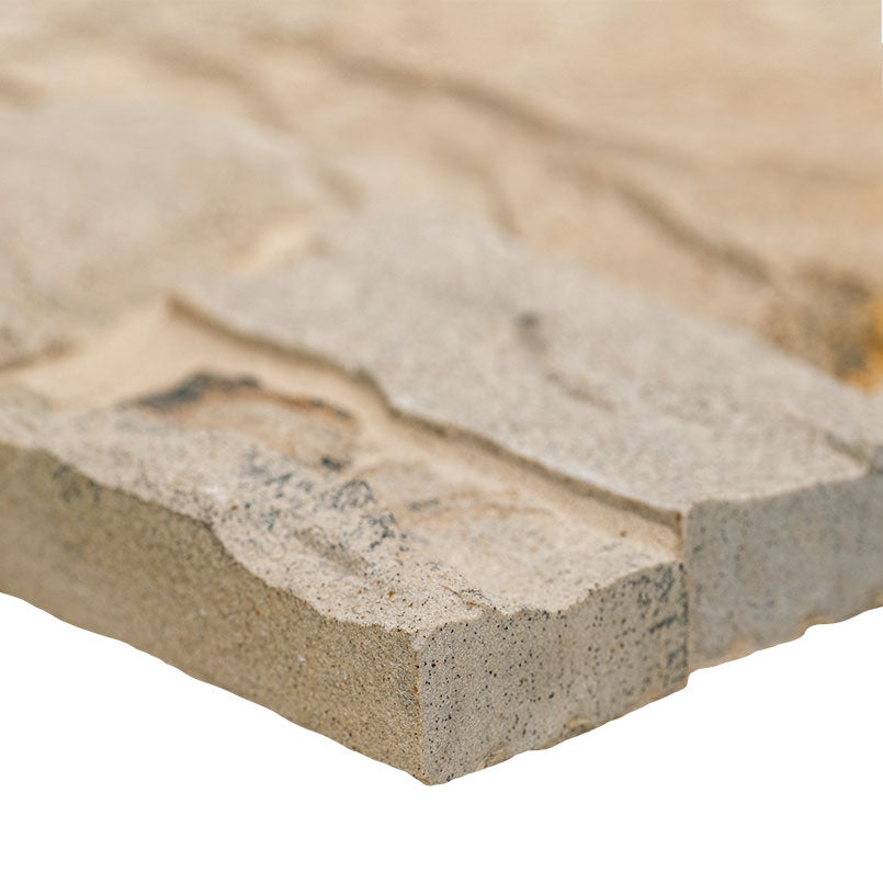 FOSSIL RUSTIC Natural Hardscape - 12"-12.5"x18"-18.5"