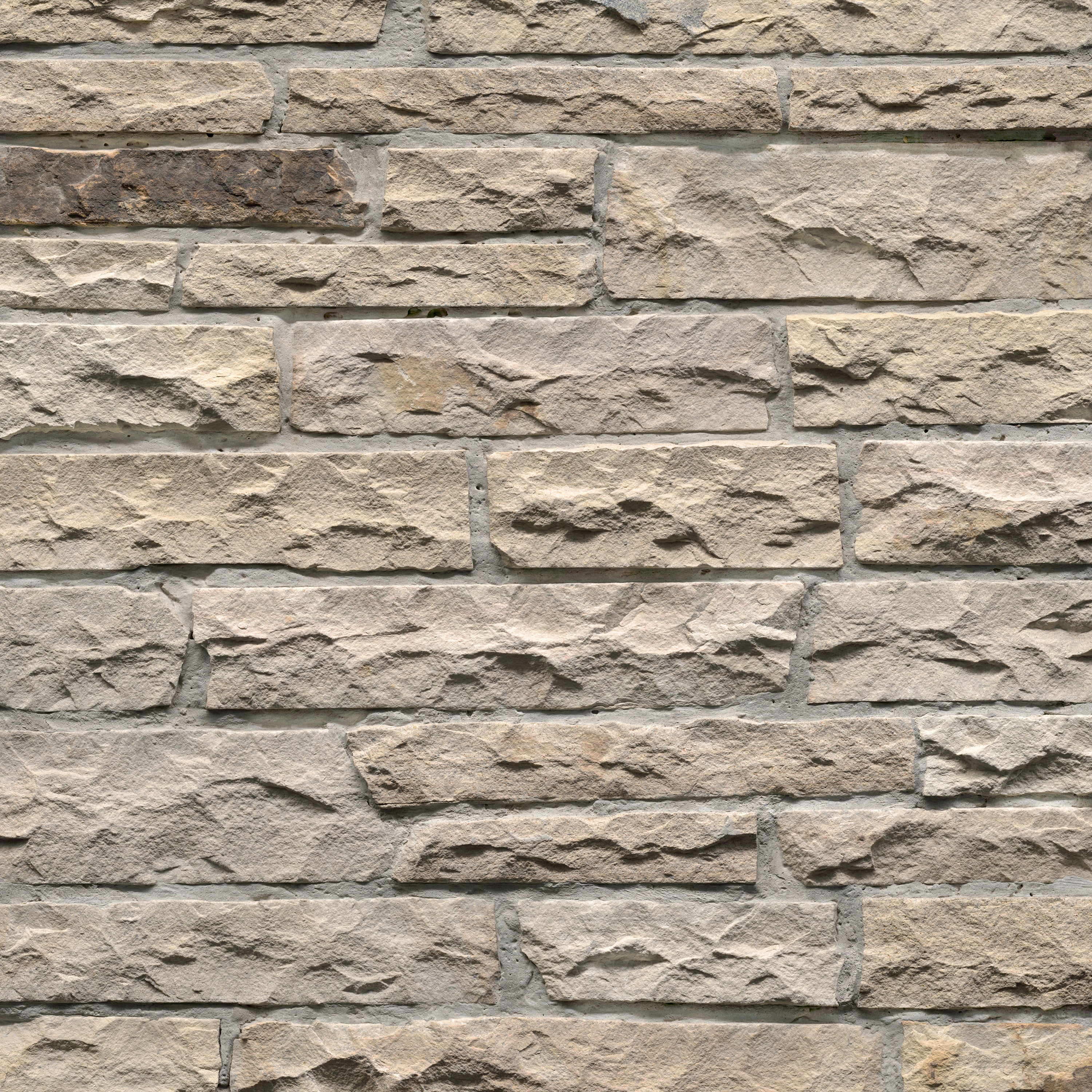 FOSSIL RUSTIC Natural Hardscape - 12"-12.5"x18"-18.5"
