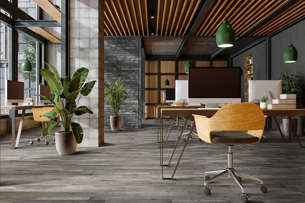 GLENRIDGE COASTAL MIX 6X48