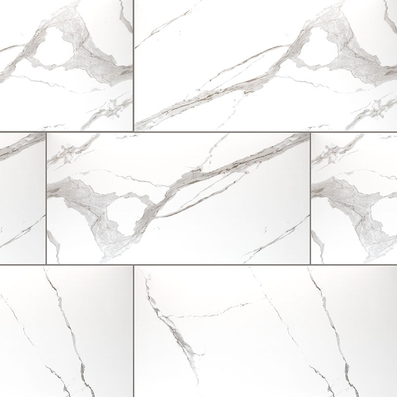 Eden Statuary Tile Matte 24 x 48