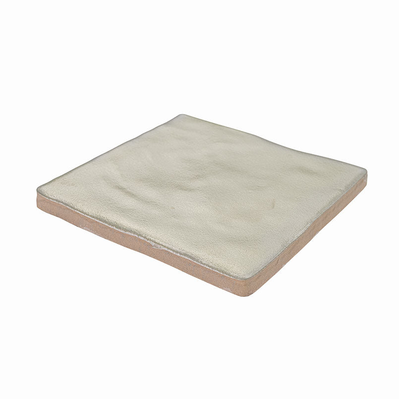 ZEST ALOE TILE 4X4 Satin Tiles - 2.5x8