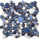 Growing Royal Blue