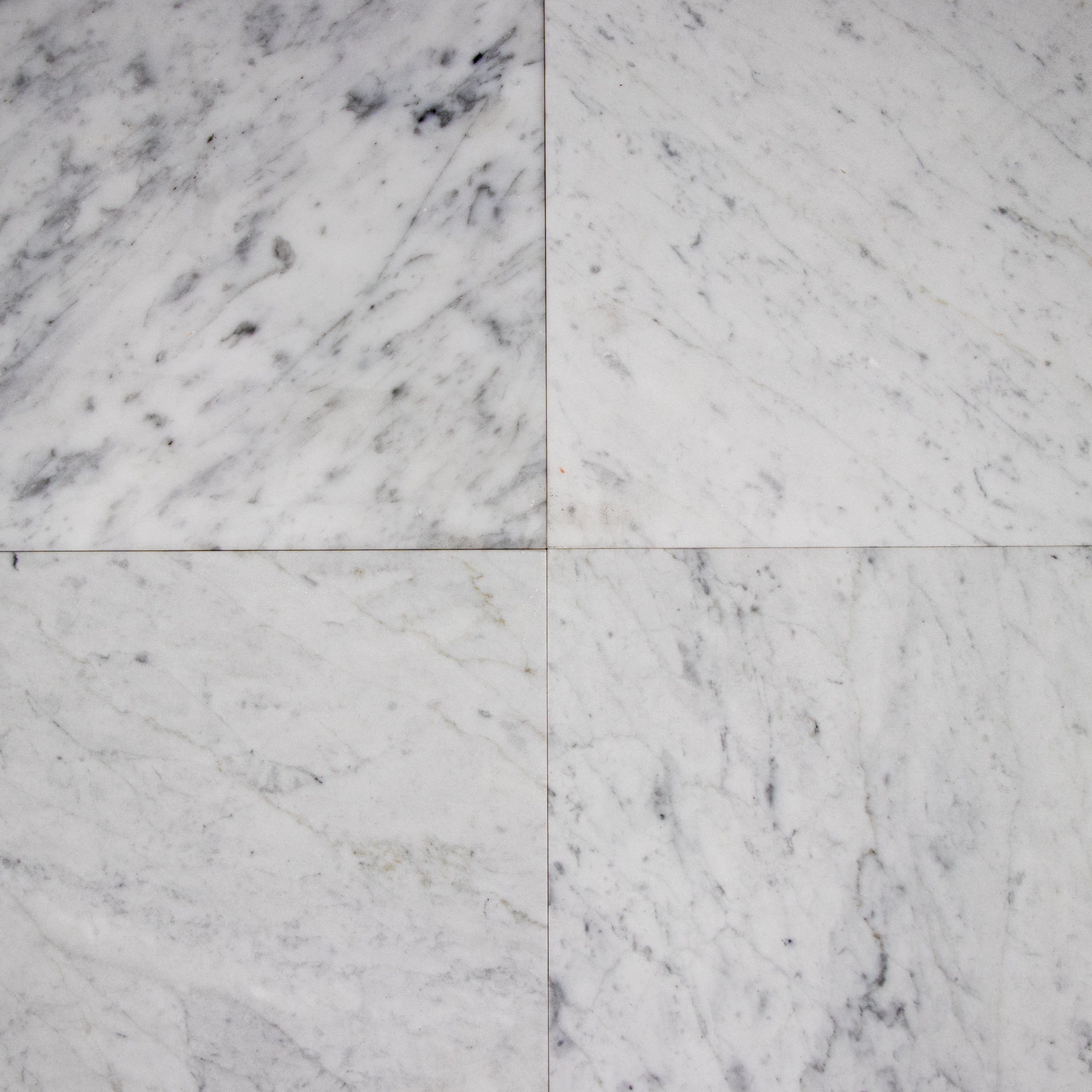 Carrara White 12x12 marble tile with soft gray veining.