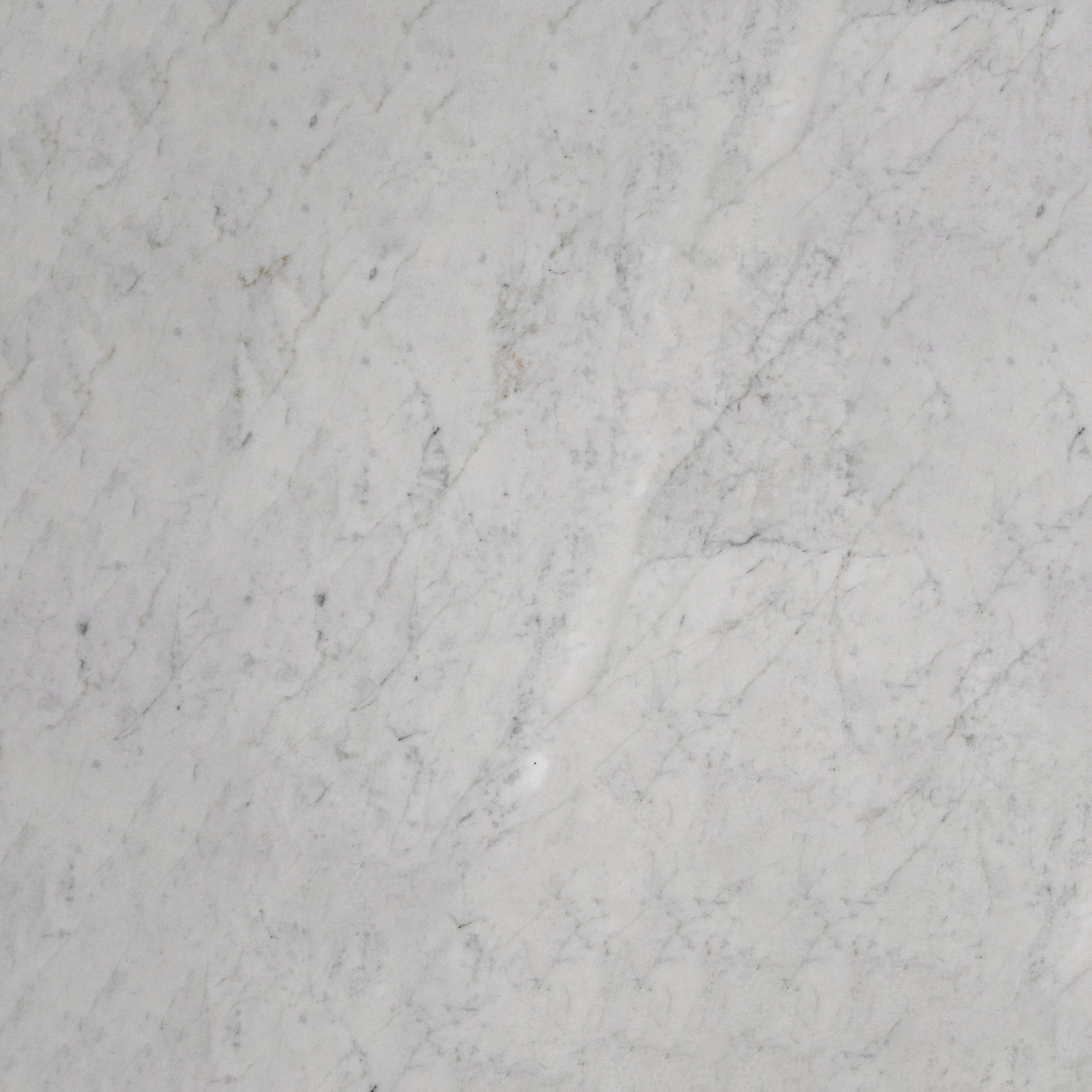 Bianco Carrara Gioia Tiles.