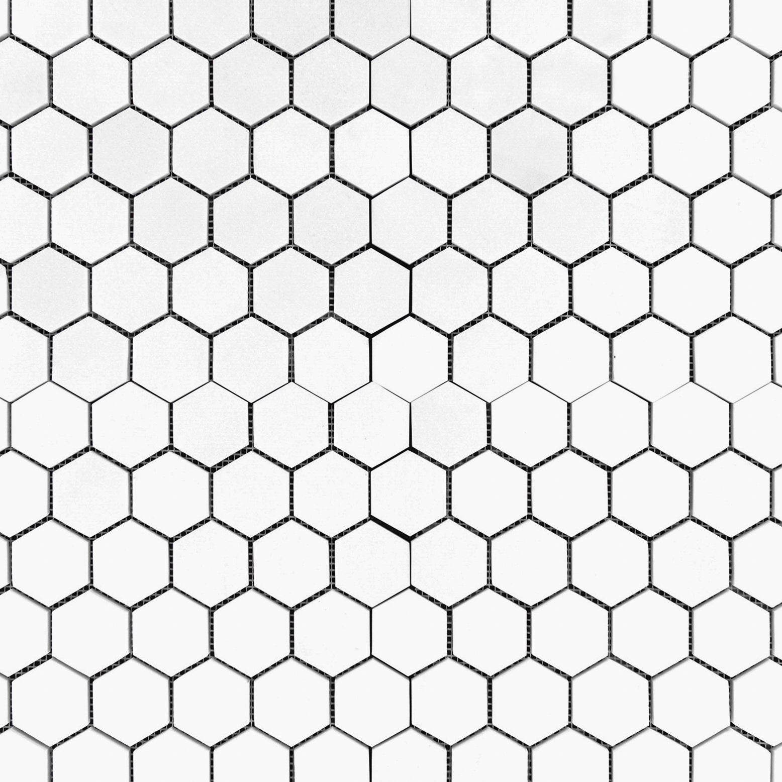 Contour Antibac Hexagon Lattice White Black Tiles.